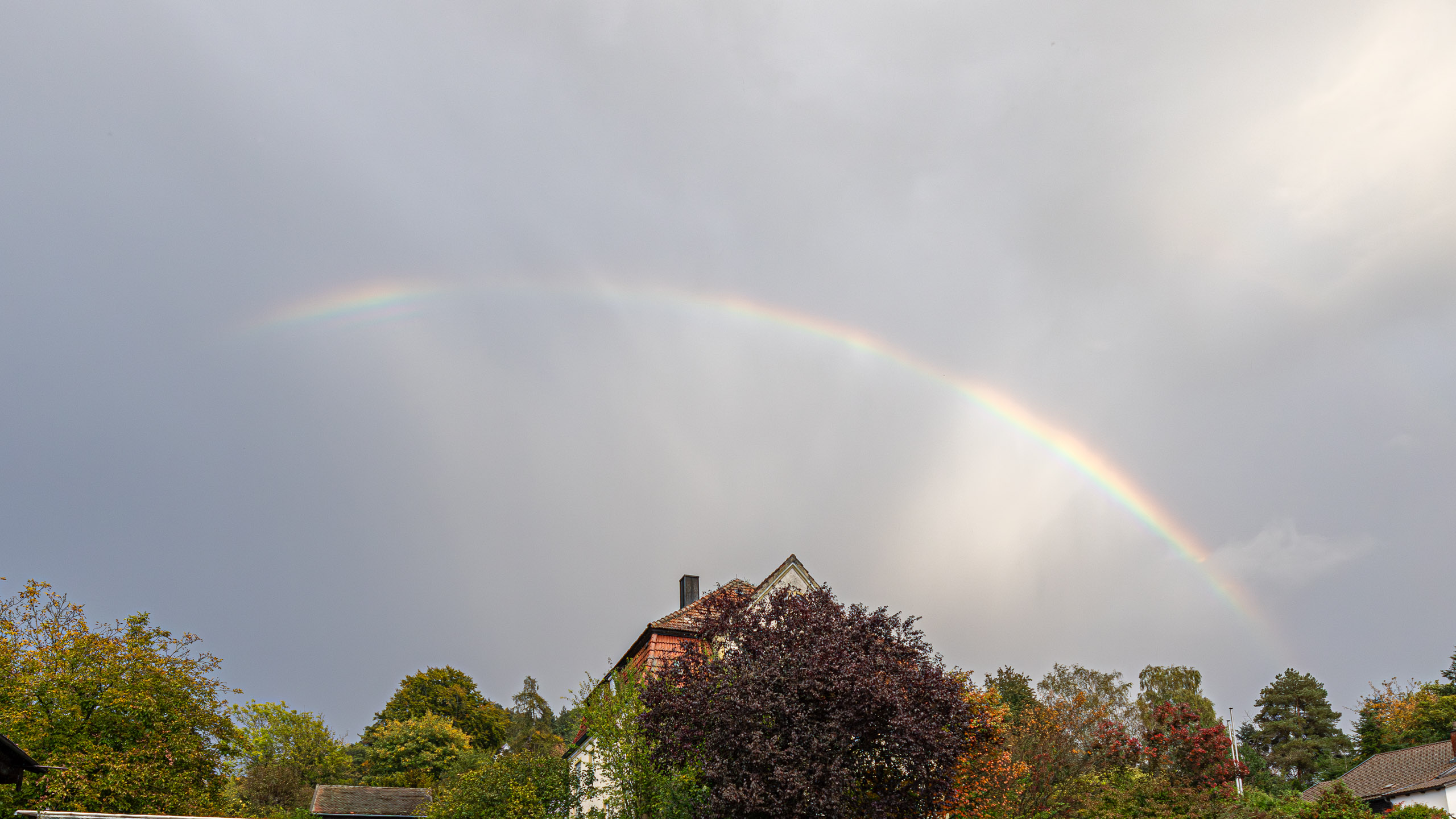 20231014175216 R5D 4281 e